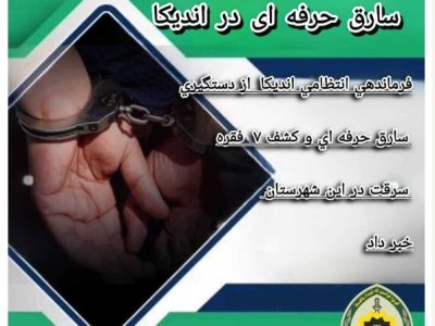 فرماندهي انتظامي انديکا از دستگيري سارق حرفه اي و کشف ۷ فقره سرقت در اين شهرستان خبر داد